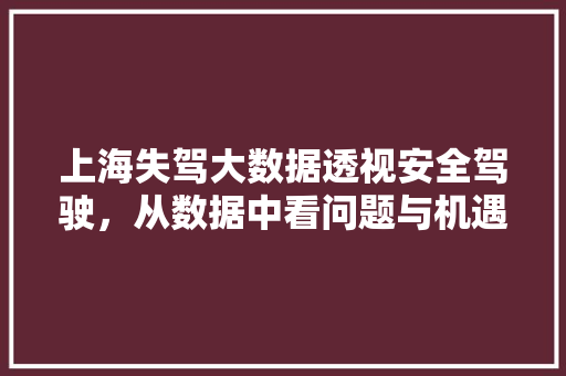 上海失驾大数据透视安全驾驶，从数据中看问题与机遇