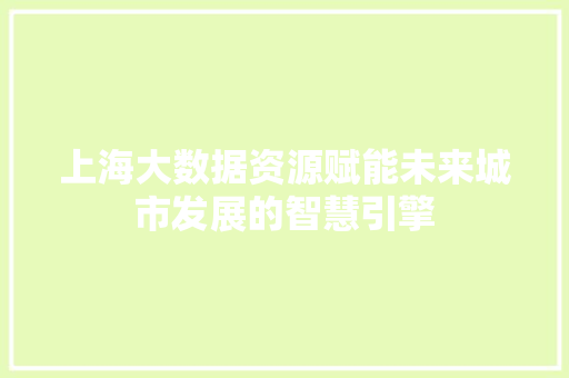 上海大数据资源赋能未来城市发展的智慧引擎