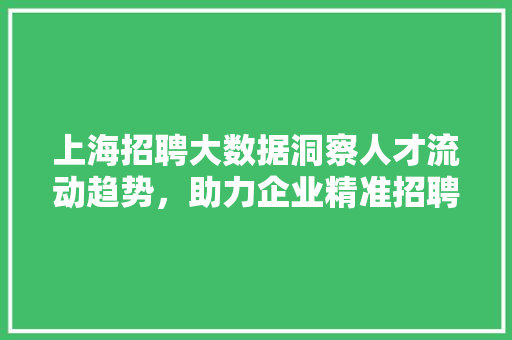 上海招聘大数据洞察人才流动趋势,助力企业精准招聘 上海招聘大数据洞察人才流动趋势,助力企业精准招聘