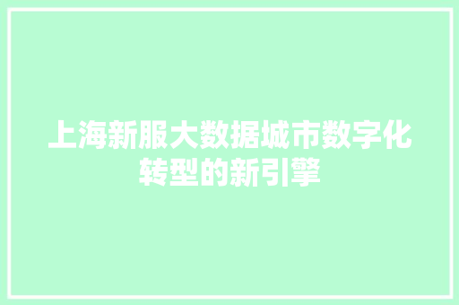 上海新服大数据城市数字化转型的新引擎 电脑配置