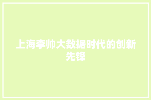 上海李帅大数据时代的创新先锋 电脑配置