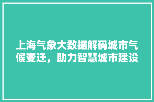 上海气象大数据解码城市气候变迁，助力智慧城市建设 电脑配置