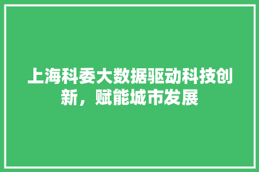 上海科委大数据驱动科技创新，赋能城市发展