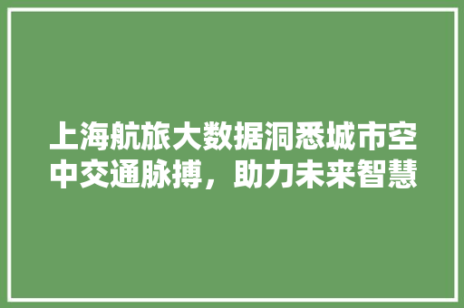 上海航旅大数据洞悉城市空中交通脉搏，助力未来智慧出行 编程语言