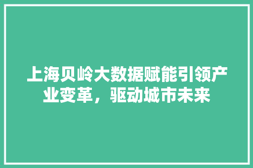 上海贝岭大数据赋能引领产业变革，驱动城市未来