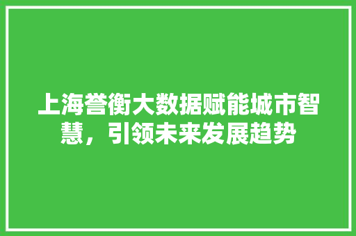上海誉衡大数据赋能城市智慧，引领未来发展趋势 操作系统