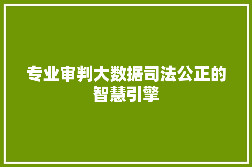 专业审判大数据司法公正的智慧引擎
