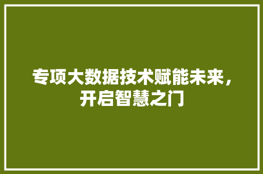 专项大数据技术赋能未来，开启智慧之门