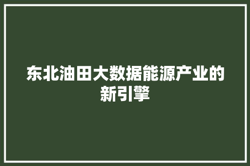 东北油田大数据能源产业的新引擎