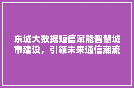 东城大数据短信赋能智慧城市建设，引领未来通信潮流