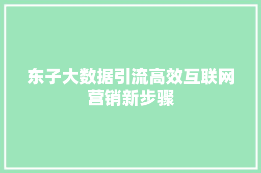 东子大数据引流高效互联网营销新步骤