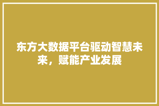东方大数据平台驱动智慧未来，赋能产业发展