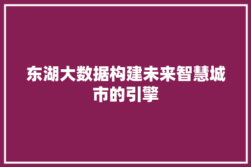 东湖大数据构建未来智慧城市的引擎 东湖大数据构建未来智慧城市的引擎