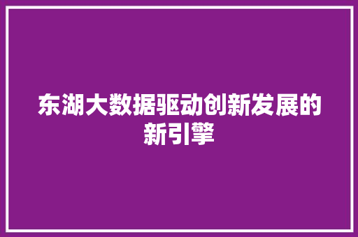东湖大数据驱动创新发展的新引擎