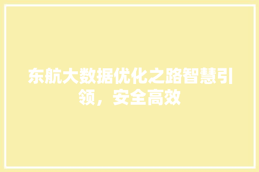 东航大数据优化之路智慧引领，安全高效