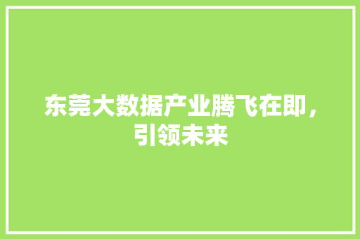 东莞大数据产业腾飞在即，引领未来