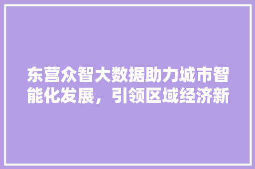 东营众智大数据助力城市智能化发展，引领区域经济新格局
