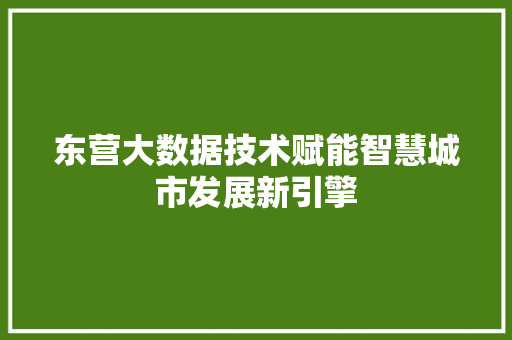 东营大数据技术赋能智慧城市发展新引擎
