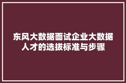 东风大数据面试企业大数据人才的选拔标准与步骤