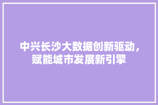 中兴长沙大数据创新驱动，赋能城市发展新引擎