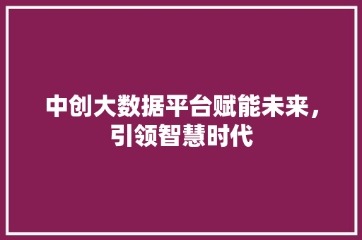 中创大数据平台赋能未来，引领智慧时代
