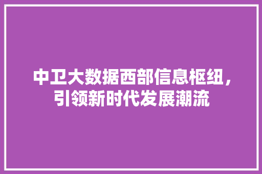中卫大数据西部信息枢纽，引领新时代发展潮流 电脑基础