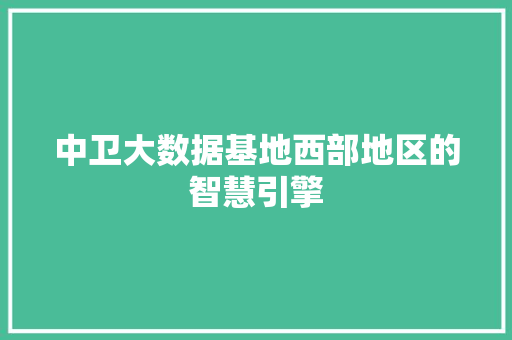 中卫大数据基地西部地区的智慧引擎 编程语言 中卫大数据基地西部地区的智慧引擎 编程语言