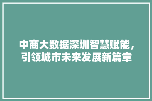 中商大数据深圳智慧赋能，引领城市未来发展新篇章
