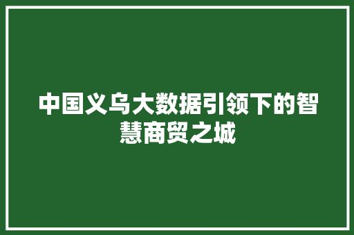 中国义乌大数据引领下的智慧商贸之城