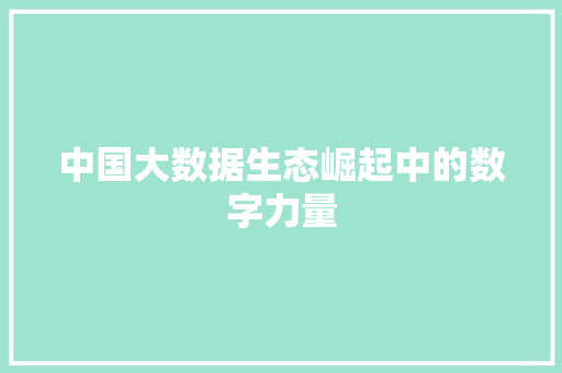 中国大数据生态崛起中的数字力量