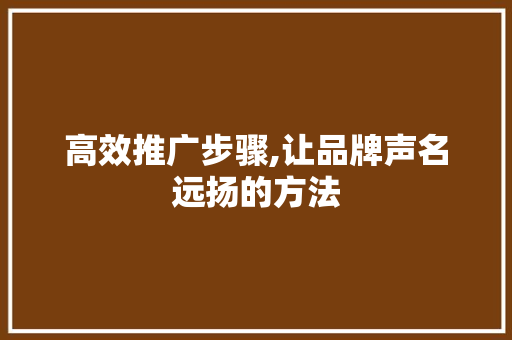 高效推广步骤,让品牌声名远扬的方法
