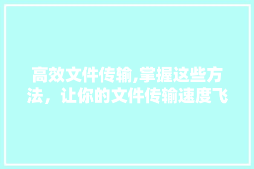高效文件传输,掌握这些方法，让你的文件传输速度飞一般！