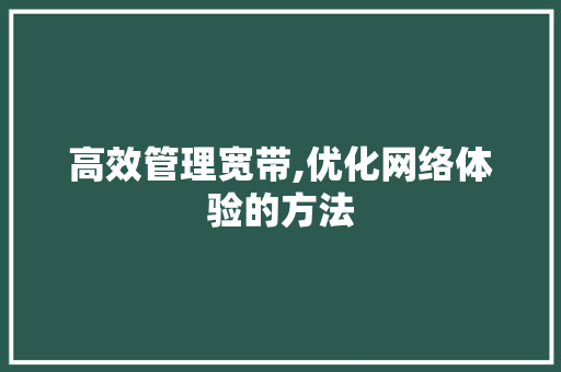 高效管理宽带,优化网络体验的方法