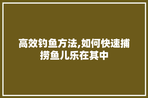 高效钓鱼方法,如何快速捕捞鱼儿乐在其中