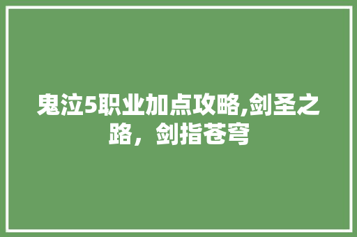 鬼泣5职业加点攻略,剑圣之路,剑指苍穹 鬼泣5职业加点攻略,剑圣之路,剑指苍穹