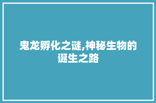 鬼龙孵化之谜,神秘生物的诞生之路 操作系统