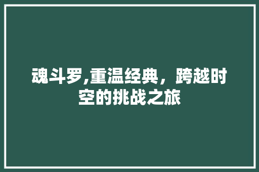 魂斗罗,重温经典,跨越时空的挑战之旅 电脑基础 魂斗罗,重温经典,跨越时空的挑战之旅 电脑基础