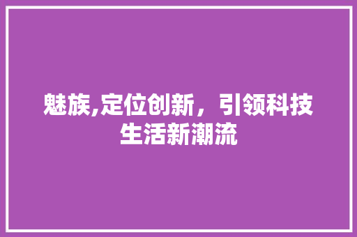 魅族,定位创新，引领科技生活新潮流