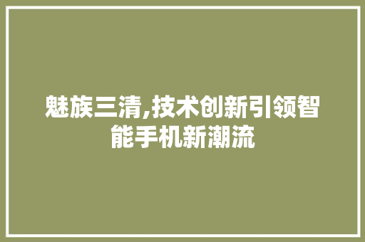 魅族三清,技术创新引领智能手机新潮流