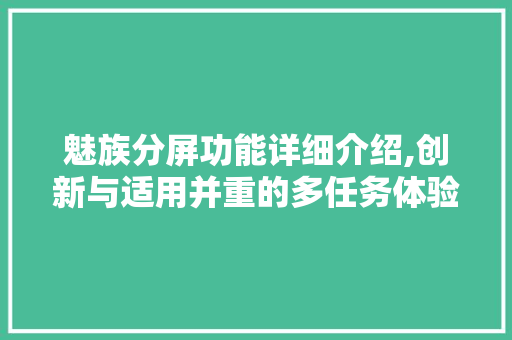 魅族分屏功能详细介绍,创新与适用并重的多任务体验