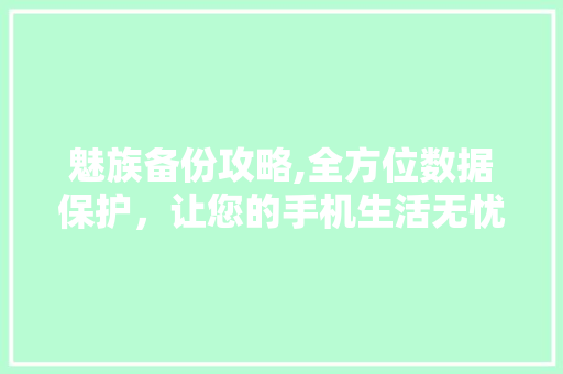 魅族备份攻略,全方位数据保护，让您的手机生活无忧