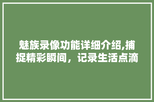 魅族录像功能详细介绍,捕捉精彩瞬间，记录生活点滴
