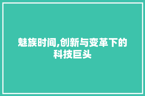 魅族时间,创新与变革下的科技巨头