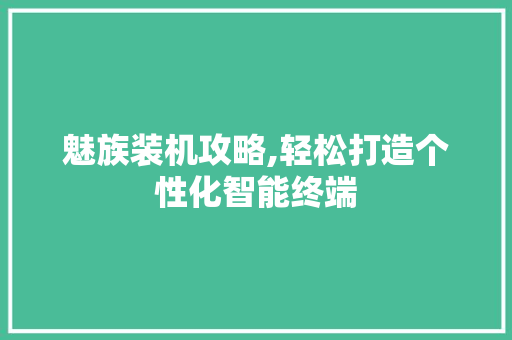 魅族装机攻略,轻松打造个性化智能终端 电脑基础