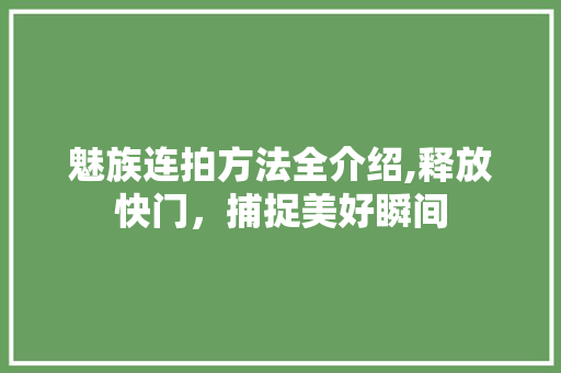 魅族连拍方法全介绍,释放快门，捕捉美好瞬间 网络技术