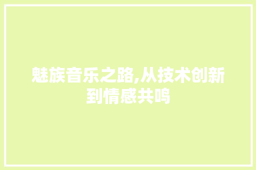 魅族音乐之路,从技术创新到情感共鸣