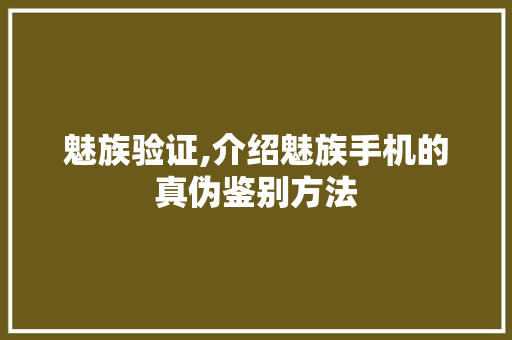 魅族验证,介绍魅族手机的真伪鉴别方法