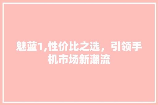 魅蓝1,性价比之选，引领手机市场新潮流