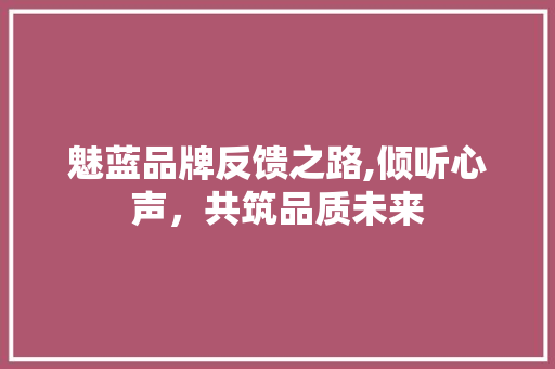 魅蓝品牌反馈之路,倾听心声，共筑品质未来 网络技术