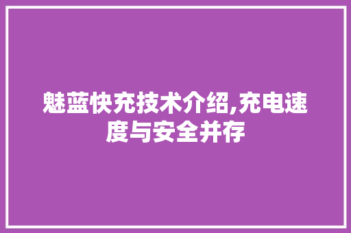 魅蓝快充技术介绍,充电速度与安全并存 编程语言